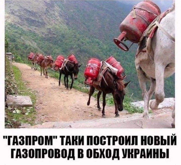 ГАЗПРПМ ПШИ ПВБТРВИП ВВЫЙ ГАЗВПРВВВД В ПБХПД УКРАИНЫ