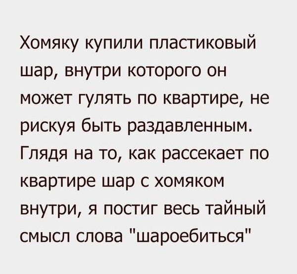 Хомяку купили пластиковый шар внутри которого он может гулять по квартире не рискуя быть раздавленным Глядя на то как рассекает по квартире шар с хомяком внутри я постиг весь тайный смысл слова шароебиться