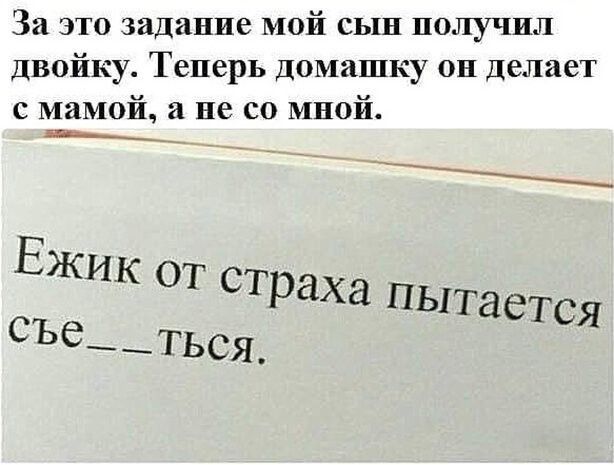 За это задание мой сын получил двойку Теперь домашку он делает с мамой а не со мной