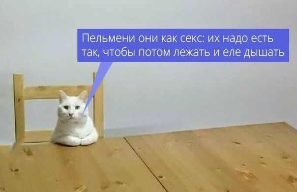 Пельмени ОНИ как секс ИХ надо ЕСТЬ так ЧТОбЫ ПОТОМ лежать И еле дышать