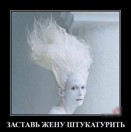 ЗАСТАВЬ ЖЕНУ ШТУКАТУРИТЬ
