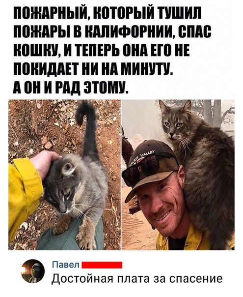 ППШАРНЫЙ ЮТ0РЬЙ ПШИП МИРЫ В ШШИФВРНИИ БШШ ЮШЩ И ТЕПЕРЬ ШШ ЕЮ поиидш И ни ШШШ Павел Достойная плата за спасение