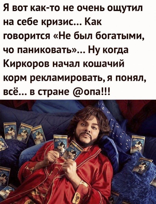 Я вот как то не очень ощутил на себе кризис Как говорится Не был богатыми чо паниковать Ну когда Киркоров начал кошачий корм рекламироватья понял всё в стране опа