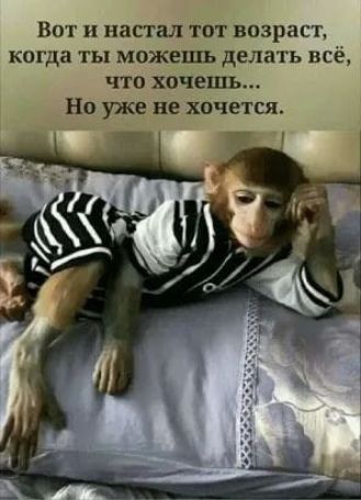 Вот и напал тот возраст когда ты мож9шъ делать всё что хочешь но уже не хочется