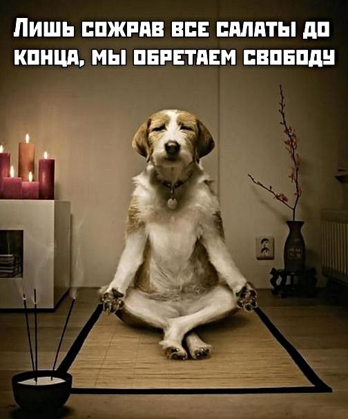 ЛИШЬ ППЖРПВ ВСЕ ПМПТЫ дп КПНЦП МЫ ПЕРЕТПЕМ ПВПЕПДН д ЦТ 71 и А