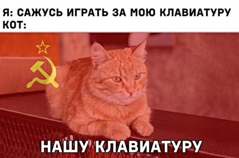 Я САЖУСЬ ИГРАТЬ ЗА МОЮ КЛАВИАТУРУ КОТ ндшу чклдвидтуру