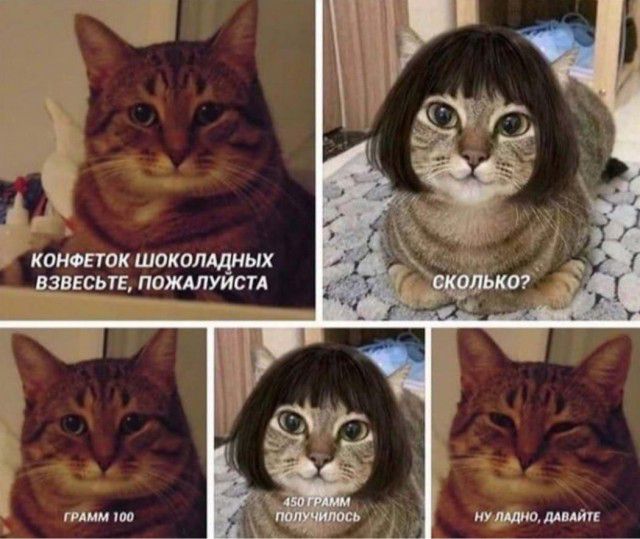КОНОЕТОК ШОКОЛАДНЫХ
