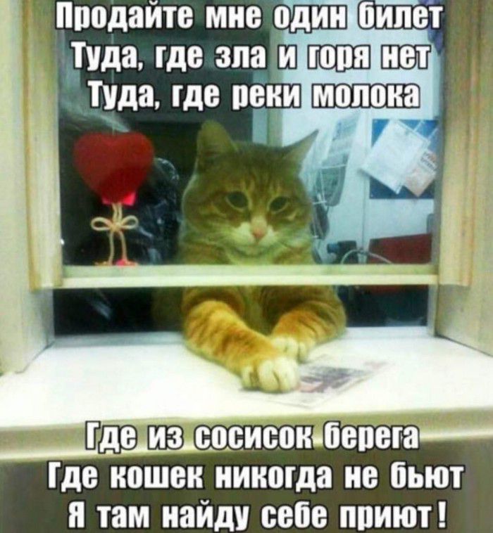 Пподаитс мне _один билет _ туда где зпаШ ЦБП туда где щёки ВШЭ ЦВЗ сосисок бспсга дс кошск никогда не бьют там найду ссбс ппиют