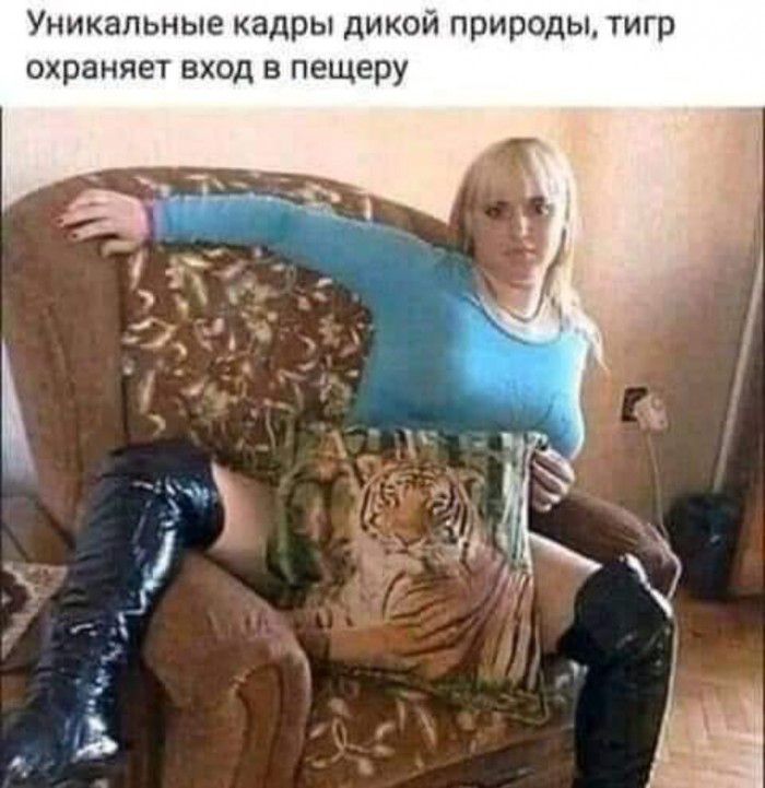 Уникальные кадры дикой природы тигр охраняет вход в пещеру