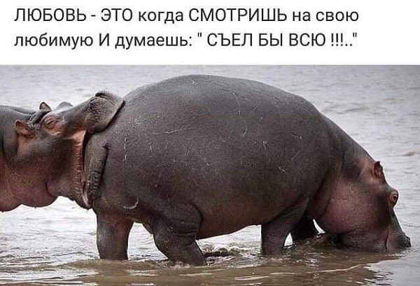 ЛЮБОВЬ ЭТО когда СМОТРИШЬ на свою любимую И думаешь СЪЕЛ БЫ ВСЮ
