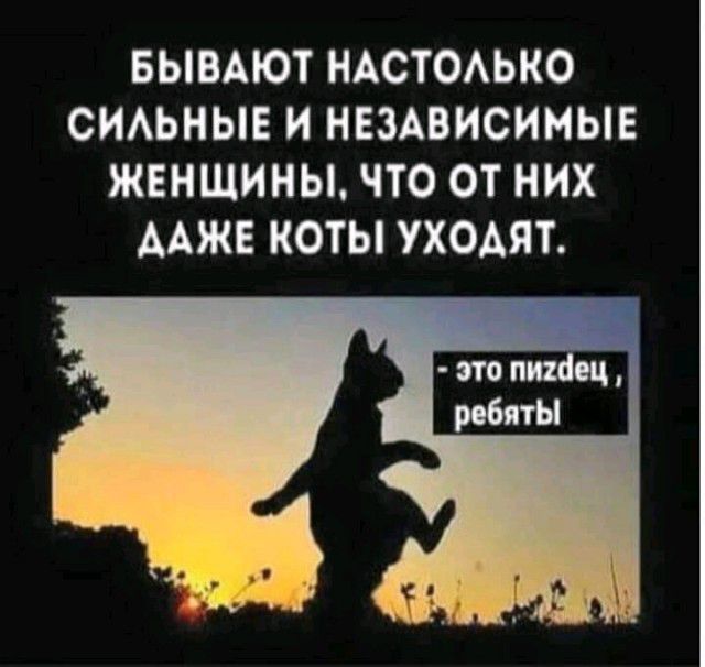 БЫВАЮТ НАСТОАЬКО СИАЬНЫЕ И НЕЗАВИСИМЫЕ ЖЕНЩИНЫ ЧТО ОТ НИХ ААЖЕ КОТЫ УХОАЯТ