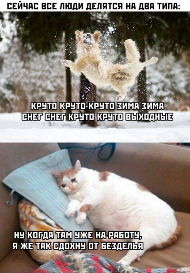 СЕЙЧАС ВСЕ ПШдИ дЕППТЕЯ Нд двд ТИПП