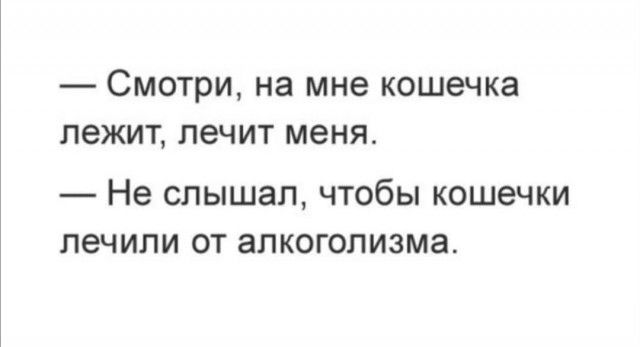 СМОТРИ на мне кошечка ЛЕЖИТ лечит меня Не СЛЫШЭП ЧТОбЫ КОШЭЧКИ лечили ОТ ЗПКОГОПИЗМЭ