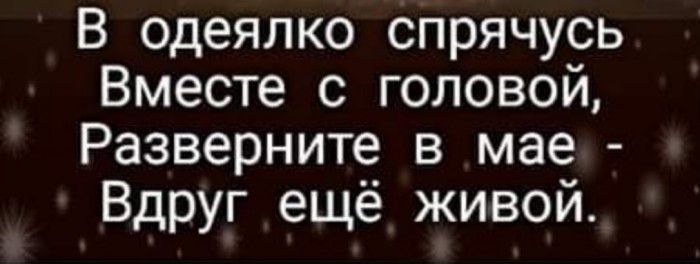 В одеялко спрячусь Вместе с головой Разверните в мае Вдруг ещё живой