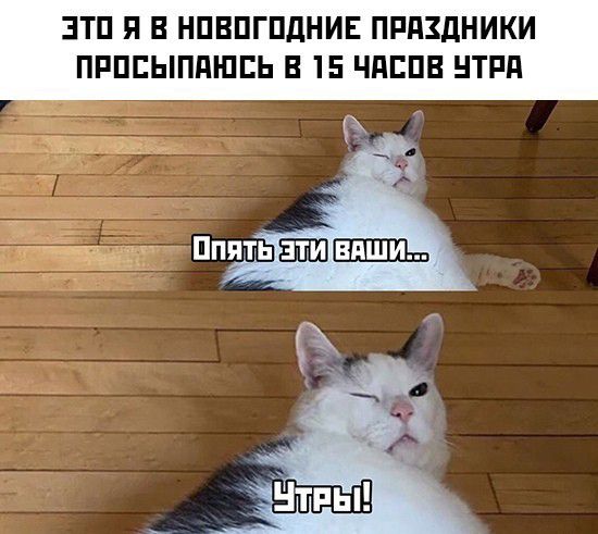 ЭТП П В НПВПГПДНИЕ ПРПЗДНИКИ ПРПЕЫППШЕЬ В 15 ЧПЕПВ НТРП