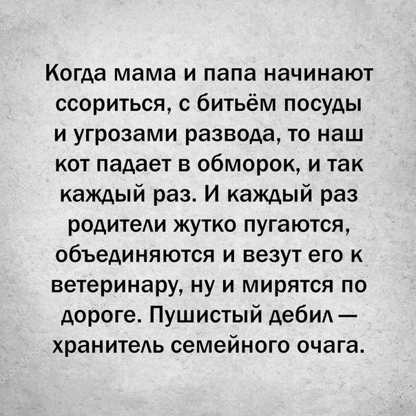 Когда мама и папа начинают ссориться с битьём посуды и угрозами развода то наш кот падает в обморок и так каждый раз И каждый раз родитеАи жутко пугаются объединяются и везут его к ветеринару ну и мирятся по дороге Пушистый дебид хранитеь семейного очага