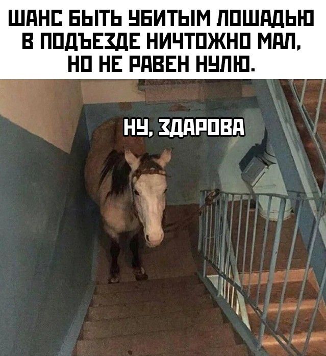 ШдНЕ БЫТЬ НЕИТЫМ ЛПШПДЫ П В ППДЬЕЗДЕ НИЧТПЖНП МПП НП НЕ РдВЕН Н Л П