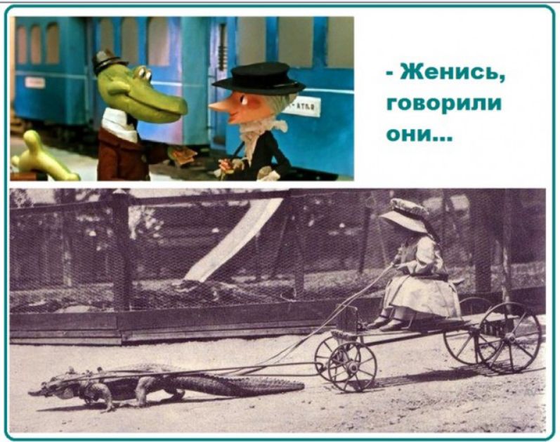 Женись говорили