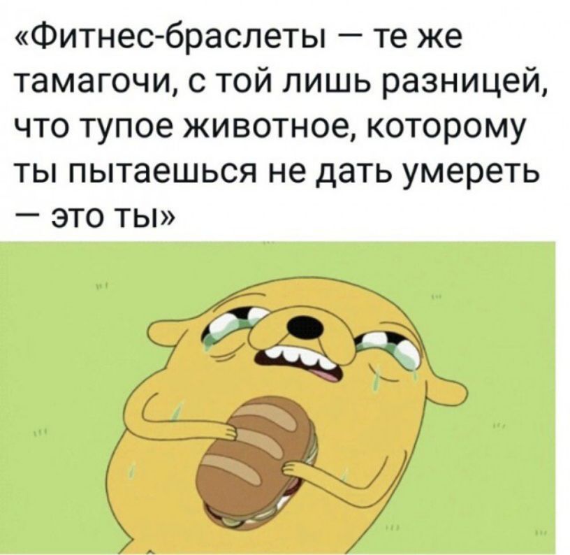Фитнес браслеты те же тамагочи с той лишь разницей что тупое животное которому ты пытаешься не дать умереть _ ЭТО ТЫ