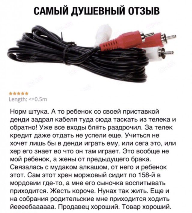 САМЫЙ ДУШЕВНЫЙ ОТЗЫВ г Норм штука А то ребенок со своей приставкой денди задрал кабеля туда сюда таскать из телека и обратно Уже все входы бп ть раздрочип За телек кредит даже отдать не успели еще Учиться не хочет лишь бы в денди играть ему или сега это или хер его знает во что он там играет Это вообще не мой ребенок а кены от предыдущего брака Связапась с мудаком алкашом от него и ребенок этот Са