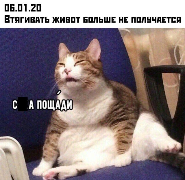 ПЕП2П ВТПГИВПТЬ ЖИВПТ ЕПЛЬШЕ НЕ ПППНЧПЕТПП