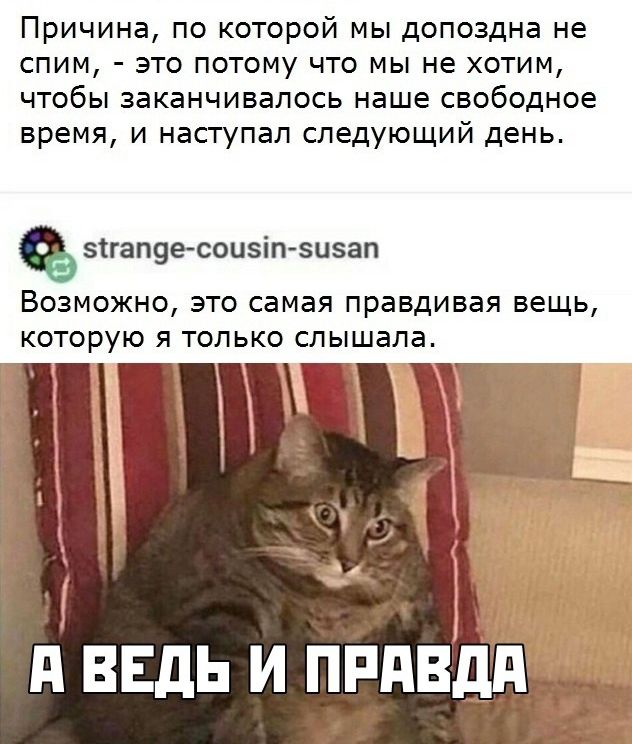 ПРИЧИНЭ ПО КОТОРОЙ МЫ дОПОЗДНЭ не СПИМ ЭТО ПОТОМУ ЧТО МЫ не ХОТИМ ЧТОбЫ ЗЭКЭНЧИВЭЛОСЬ наше свободное ВРЕМЯ И НЭСТУПЭЛ СЛЕДУЮЩИЙ день зтгапуе соизіп зизап ВОЗМОЖНО ЭТО СЭМЭЯ ПРЭВДИВЭЯ вещь КОТОРУЮ Я ТОЛЬКО СЛЫШЭЛЭ д ввдь и ппдвдд