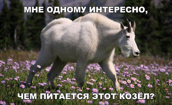 М КЁЗЕПЖ