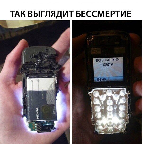 ТАК ВЫГЛЯДИТ БЕССМЕРТИЕ Впавые БШ