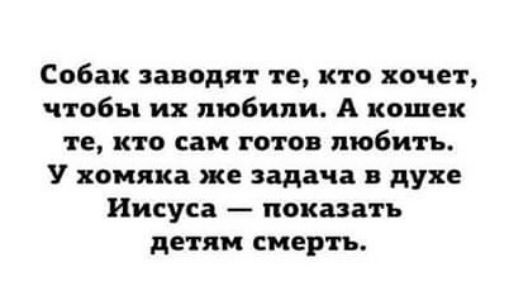 Собак заводят те кто хочет чтобы их любили А кошек те кто сам готов любить У хомяка же задача в духе Иисуса показать детям смерть