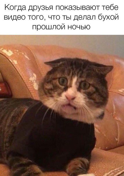 Когда друзья показывают тебе видео того что ты делал бухой прошлой ночью