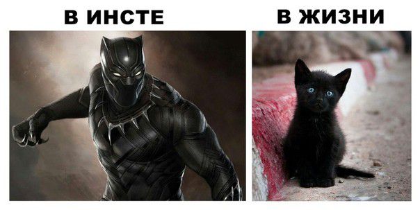 В ИНСТЕ В ЖИЗНИ
