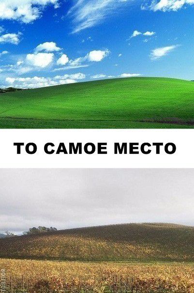 ТО САМОЕ МЕСТО