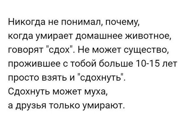 Никогда не понимал почему когда умирает домашнее животное говорят сдох Не может существо прожившее с тобой больше 101 5 лет просто взять и сдохнуть Сдохнуть может муха а друзья только умирают