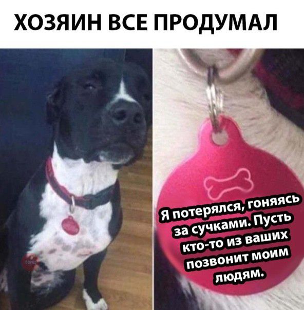 ХОЗЯИН ВСЕ ПРОДУМАЛ