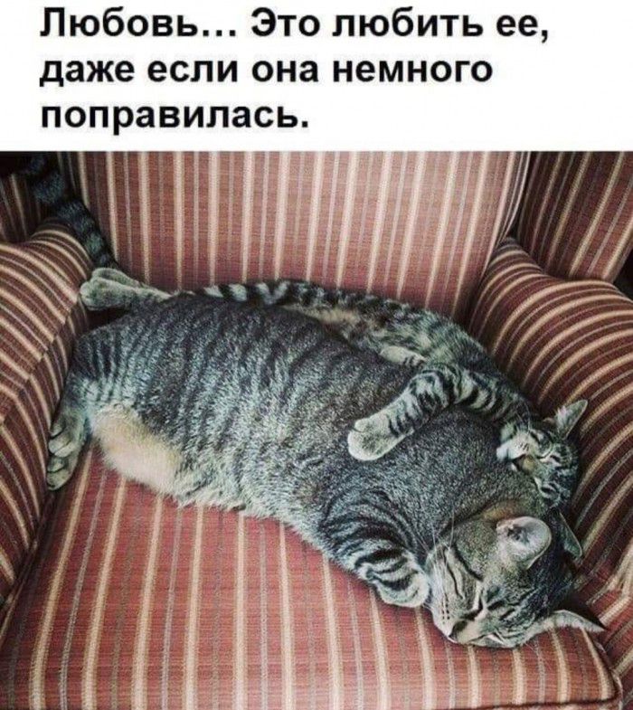 Любовь Это любить ее даже если она немного поправилась