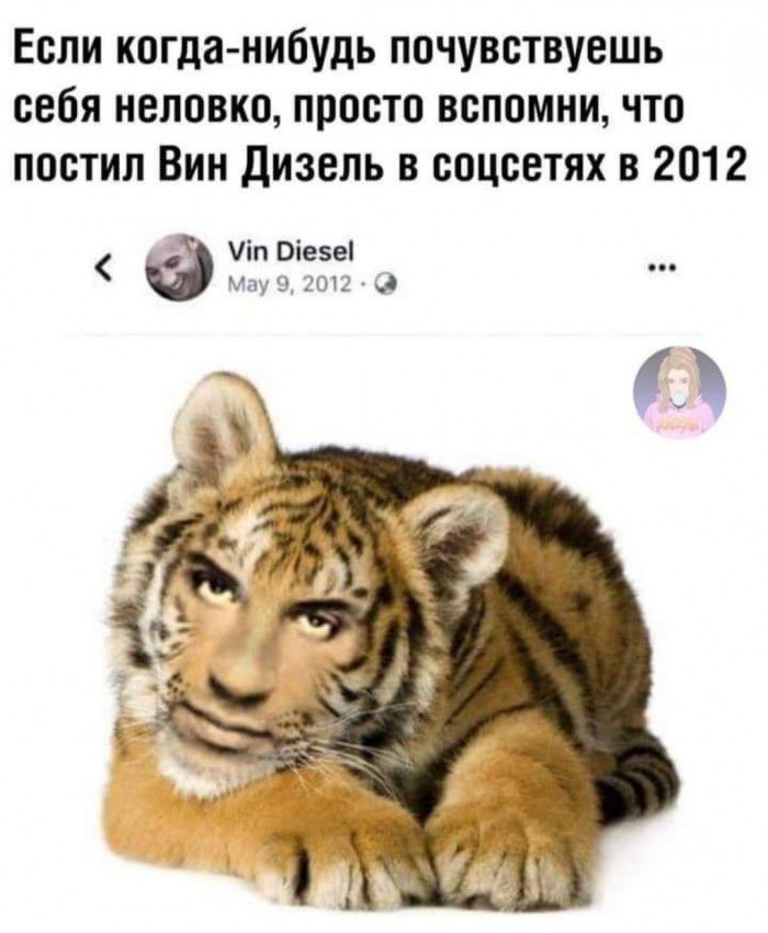 Если когданибудь почувствуешь себя неловко просто вспомни что постил Вин дизель в соцсетях в 2012 іп Віезеі Мау э сог