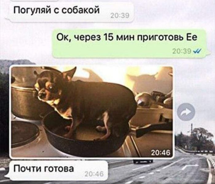 Погупяй с собакой Ок через 15 мин приготовь Ее Почти готова