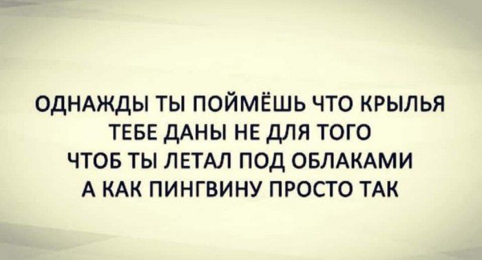 ОДНАЖДЫ ТЫ ПОЙМЁШЬ ЧТО КРЫЛЬЯ ТЕБЕ ДАНЫ НЕ ДЛЯ ТОГО ЧТОБ ТЫ ЛЕТАЛ ПОД ОБЛАКАМИ А КАК ПИНГВИНУ ПРОСТО ТАК