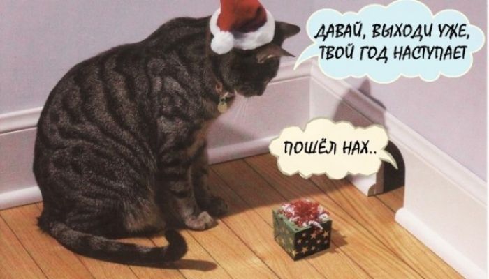 Алида выходи уже твт год нломтег ПОШЁЛ НАХ і