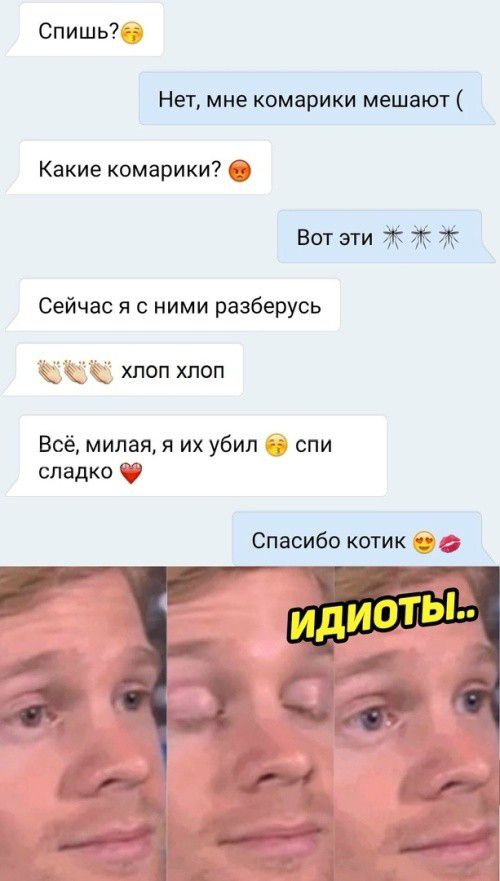 Спишь Нет мне комарики мешают Какие комарики Вот эти Ж 7 Сейчас я с ними разберусь _ ХЛОП ХЛОП Всёмипаяя их убил спи сладко Спасибо котик