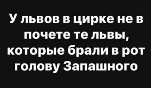 У львов в цирке не в почете те львы которые брали в рот голову Запашного
