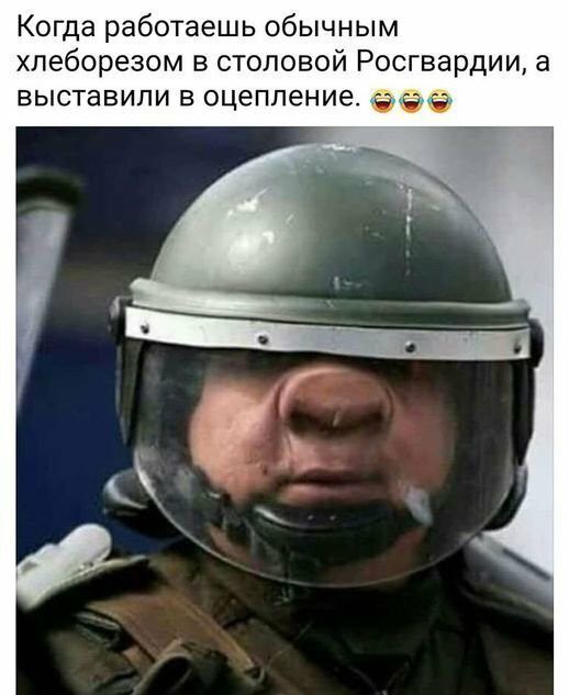Когда работаешь обычным хлеборезом в столовой Росгвардии а ВЫСТаВИЛИ В оцепление