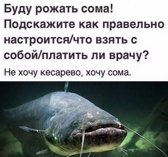 Буду рожать сома Подскажите как правельно настроитсячто взять с собойплатить ли врачу Не хочу кесарево хочу сома