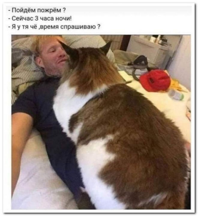 Пойдём пожрем 7 Сейчас 3 часа ночи я у тя че время спрашиваю