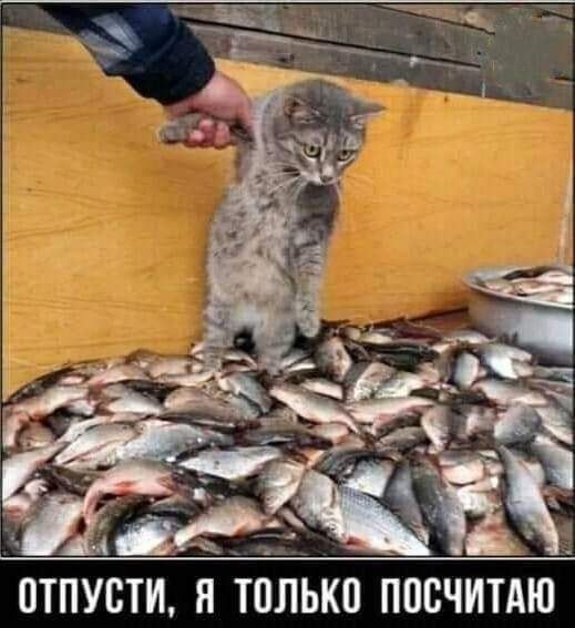ОТПУВТИ Я ТЁЛЬКП ППСЧИТАЮ