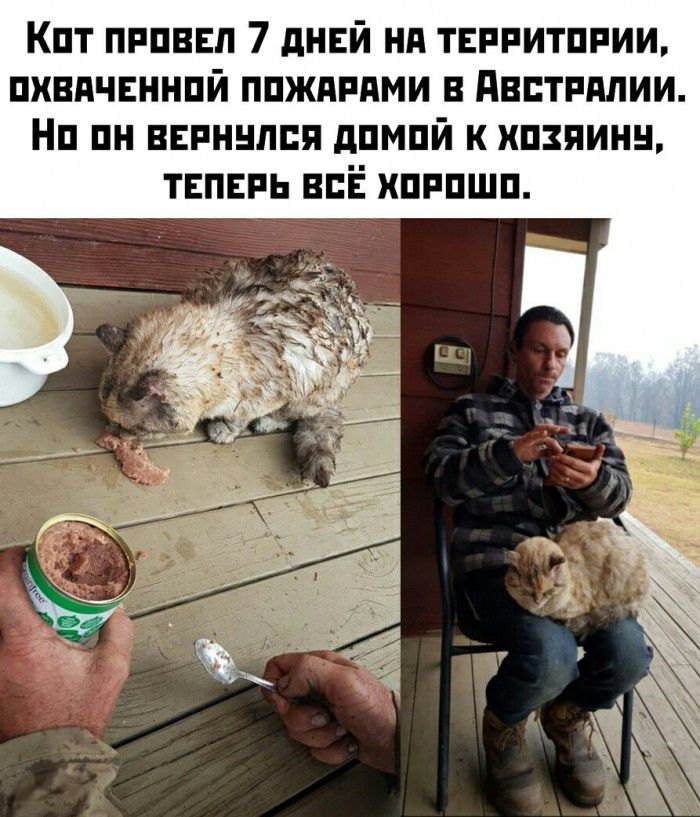 Кпт пппввп 7 днвй нд терпитппии пхвдчвннпй ппждпдми в двптрмии Нп пн ввпннппя дпмпй к хпнинн твпвпь всЁ пппшп