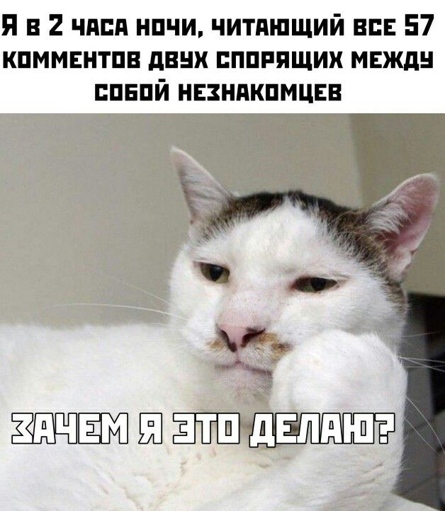 Я в 2 чдпд нпчи читдшщий в 57 кпммвнтпв двнх пппящих мвждн пвпй незнякпмцвв