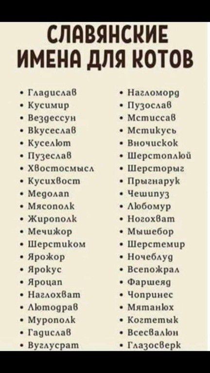 _ СПДВЯНСКИЕ ИМЕНд ДЛЯ КОТОВ Гмщпсмт Кушнир Возник уп ВКусксдпИ ХВостосмысд Куспхппст Мсэшзп Митник Жщютмк Мк ЧНЖор Шсрсппнюм ЯрпЖор ЯрпКус Ярпцап Нигдохддт Моппшраи Муропщи 19испн Вуадусрат Нлмочпрч Пузощап Мста Минимум Иппчпсіюіс Шсрспюпдюп іічрспюрыз щсмирук Чешипуа Мобомур НцгохШнп Мышсбор Шерстсмпр Почиму 9 ВсепоЖрпд Фиршсин Чопрппсс Ммм Коши тык Вссс іоп КАазосПерК