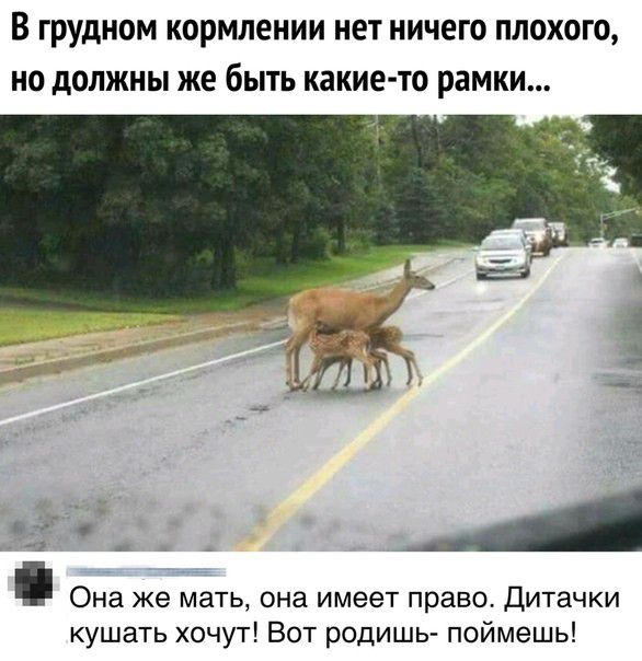 В ГРУДНОМ кормлении нет НИЧЕГО ПЛОХОГО НО дОЛЖНЫ же бЫТЬ какие то рамки _ё 9 Она же мать она имеет право Дитачки кушать хочут Вот родишь поймешь