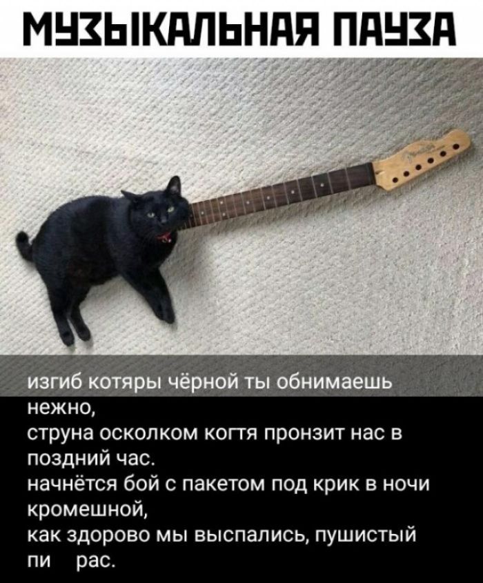 МНЗЫКППЬНПЯ ПдНЗд нежно струна осколком коггя пронзит нас в поздний час начнётся бой акетом под крик в ночи кромешной как здорово мы выспапись пушистый пи рас